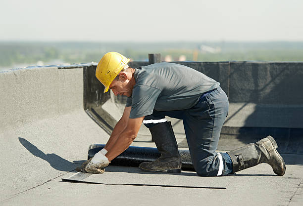 Best Geographic-Specific Insulation Services in Tellico Village, TN
