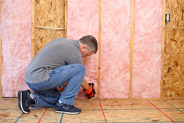 Best Cellulose Insulation in Tellico Village, TN